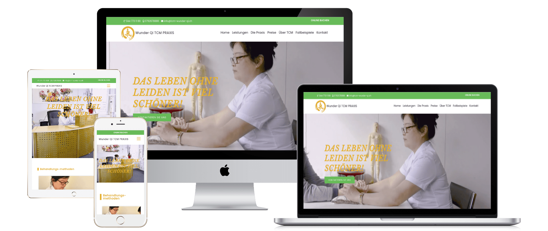 tcm-wunder-qi web design